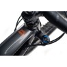 NINER WFO e9 2022