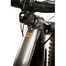 NINER RIP e9 2022