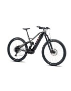 NINER RIP e9